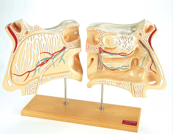 Let me pick your nose