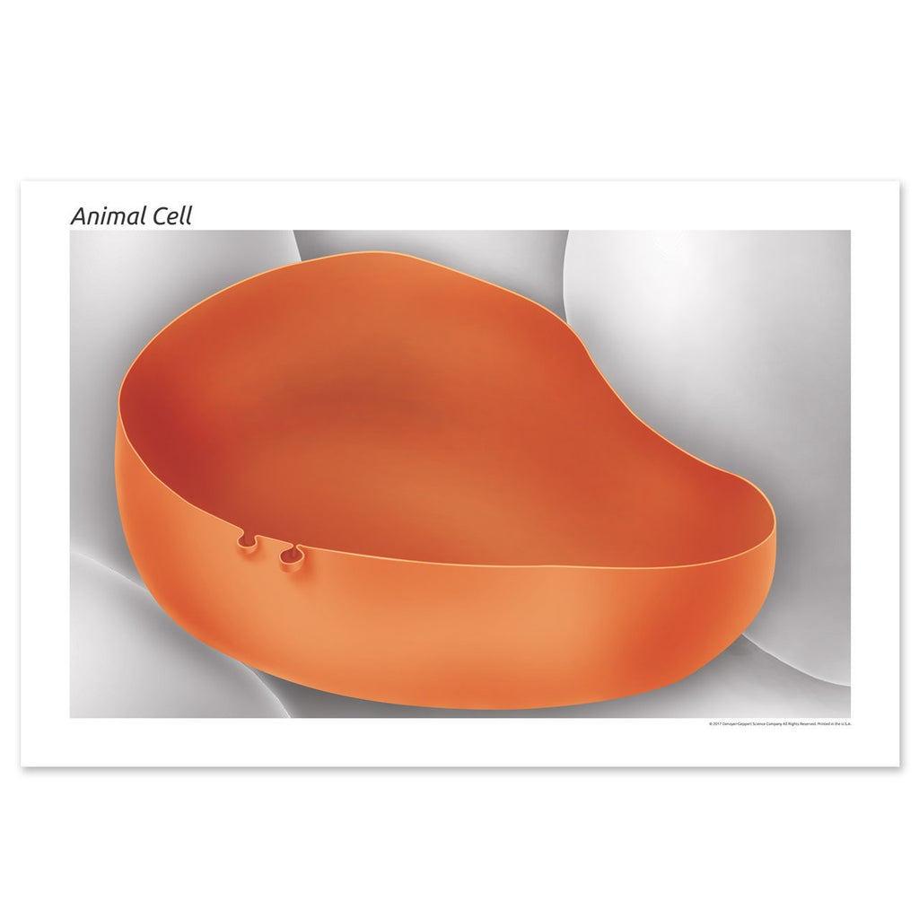 Help us name our newest product!