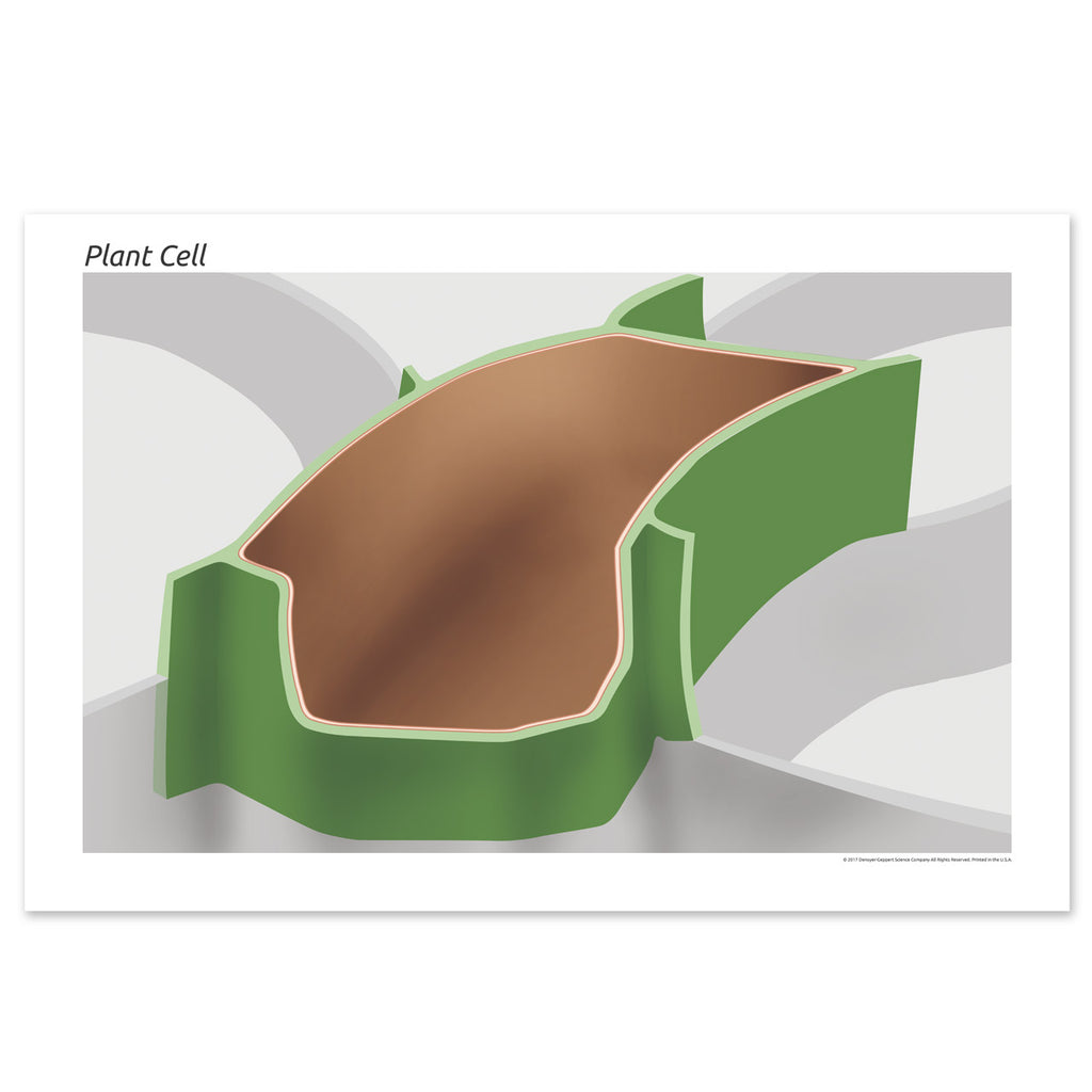 4 Hands-On Science Products for Your Students