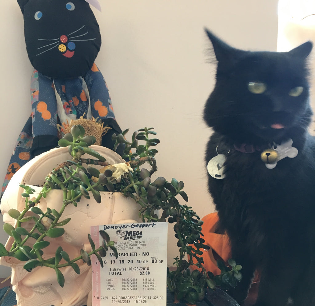 What are the odds...