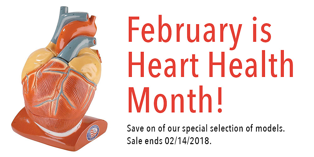 February is Heart Health Month
