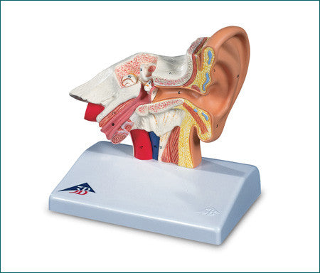 A312 Classic Desktop Ear
