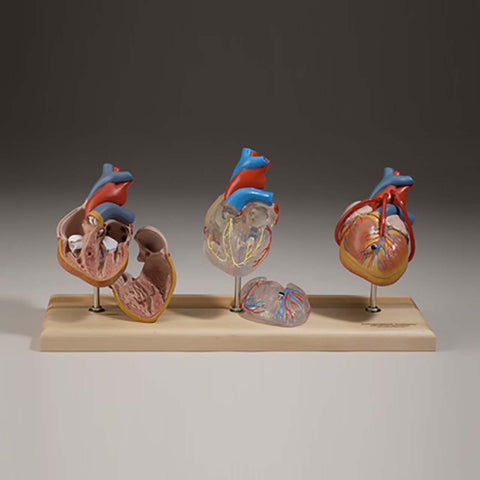 A388 Classic Heart Set on Single Wood Base
