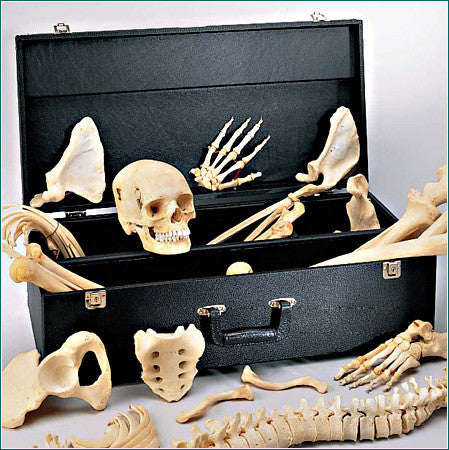 SC63 Compartmented Locking Case