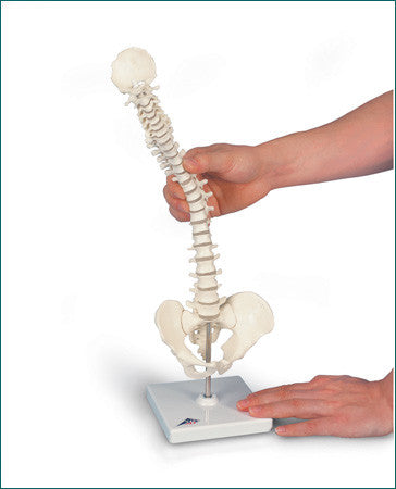 SP182 Flexible Miniature Vertebral Column