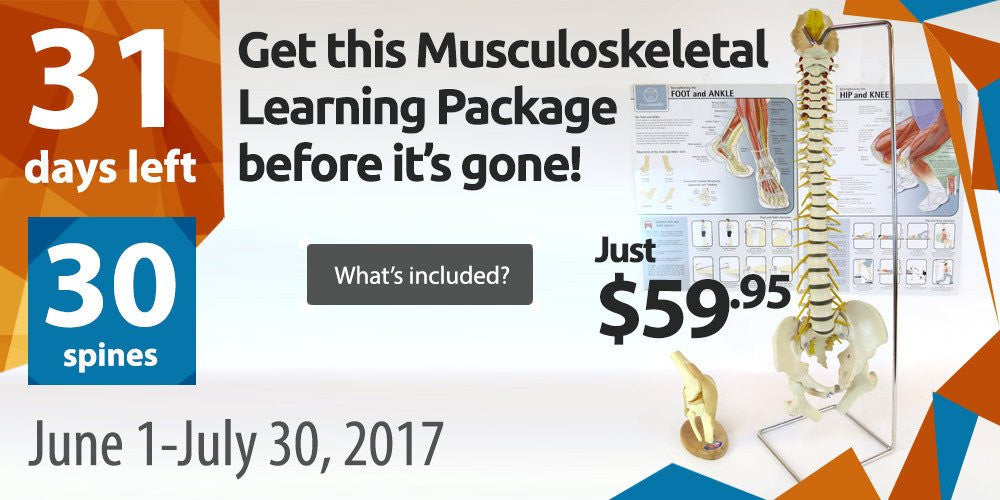 Get the Musculoskeletal Learning Package Before It's Gone!