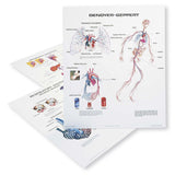 1030-41  Complete Life Sciences Series of 12 charts on Tripod Stand