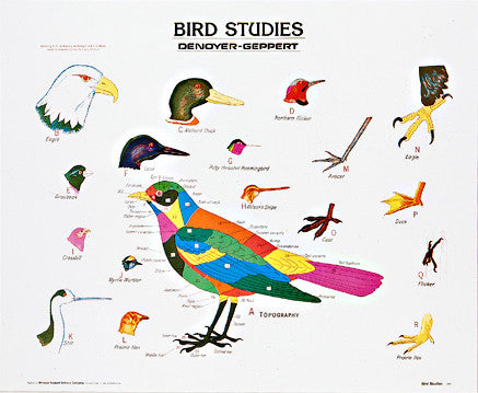 1892-10  Bird Studies
