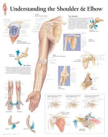 2103-08 Understanding the Shoulder and Elbow