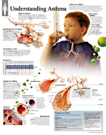 2135-08 Understanding Asthma