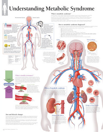 2164-08 Metabolic Syndrome