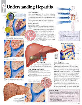 2195-08 Understanding Hepatitis