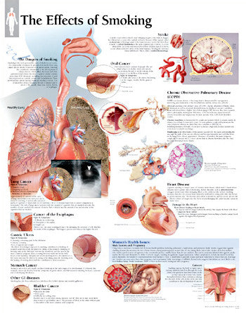 2352-08 The Effects of Smoking