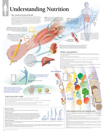 2265-08 Understanding Nutrition