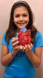 192D Paint A Heart Kit