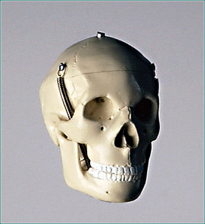 SK28  Three-Part Mini Skull