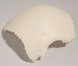 SK30-C Parietal Bone, Left