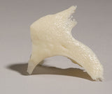 SK30-P Zygomatic Bone, Left